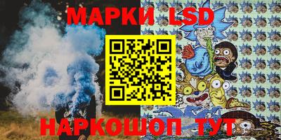 apvp Краснодар