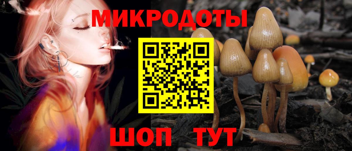 Галлюциногенные грибы прущие грибы  Вход с VPN  Кропоткин 